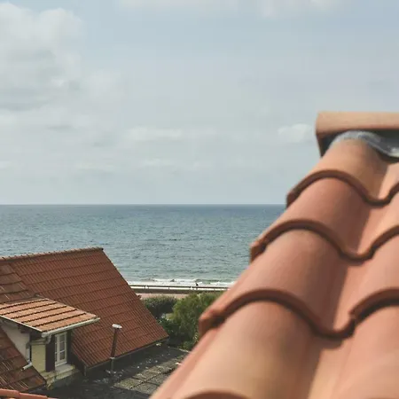 Bodygo Surfhouse 卡布勒通